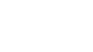 Lagerpusch Management